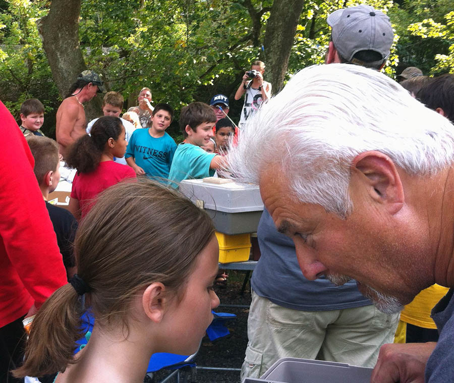 Pic 10