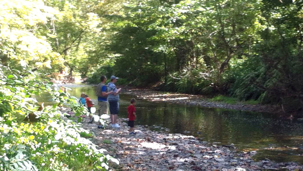 Along the Creek Pic 1