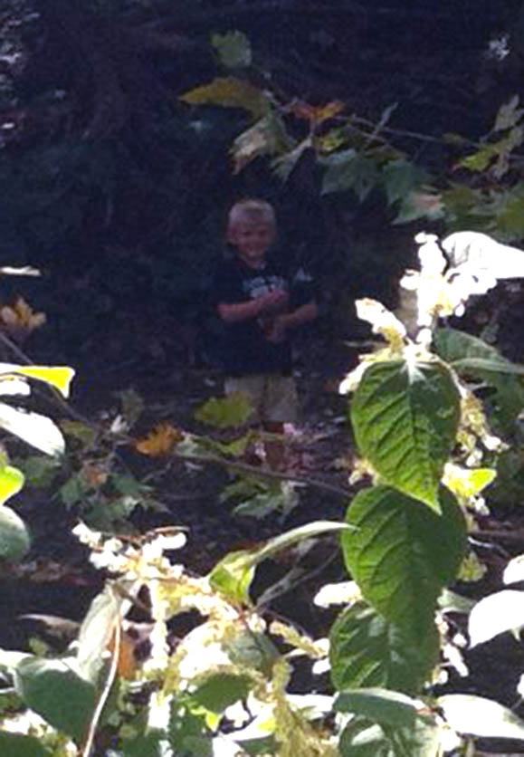 Along the Creek Pic 2