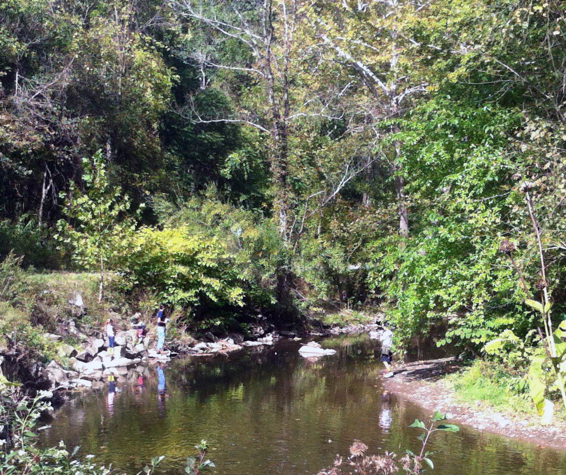 Along the Creek Pic 3