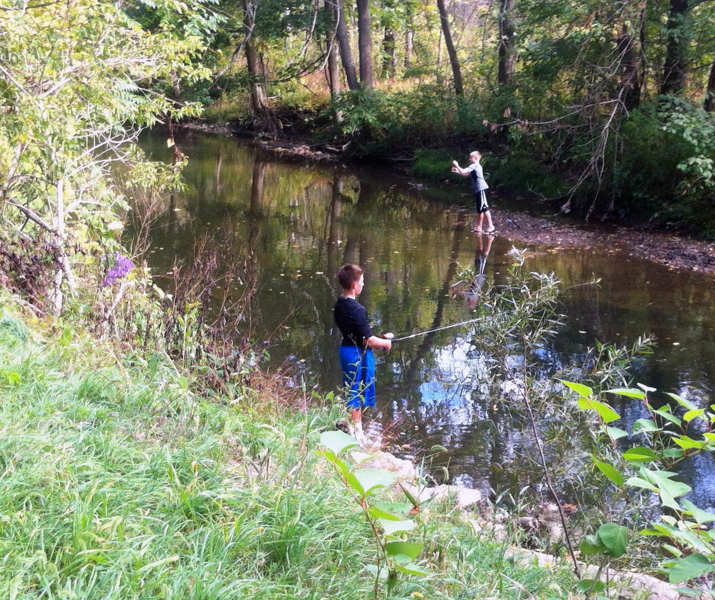 Along the Creek Pic 5