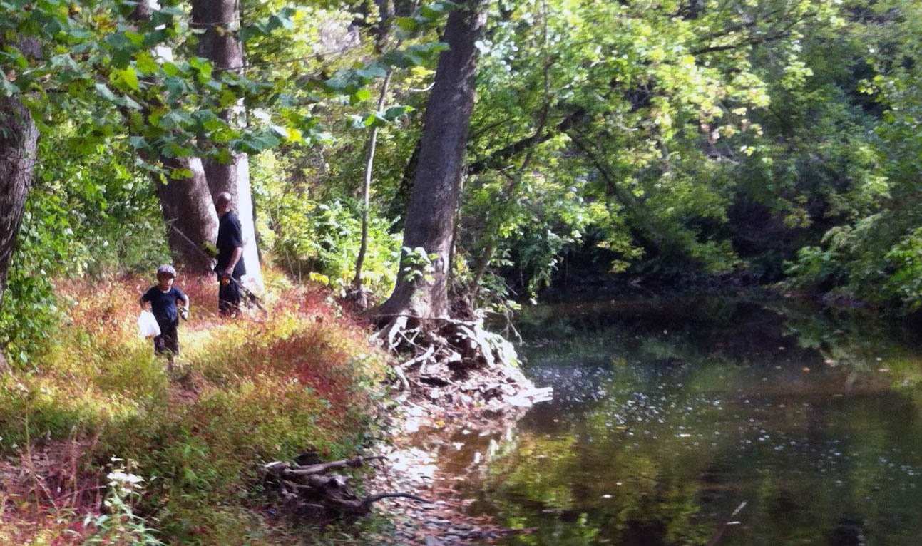 Along the Creek Pic 10