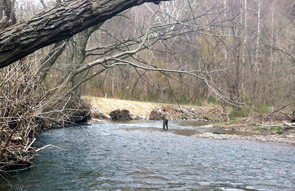 JH Stream Restoration Phase 2